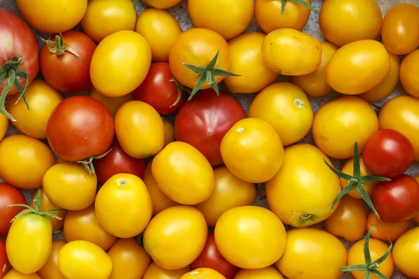 Много нарезанных помидоров — стоковое фото