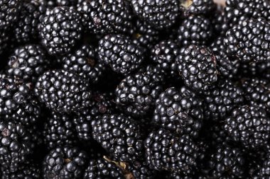 BlackBerry yakın çekim arka plan