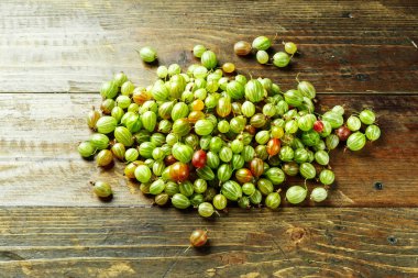 Metin için olgunlaşmış bektaşi üzümü yer