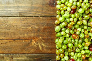 Metin için olgunlaşmış bektaşi üzümü yer