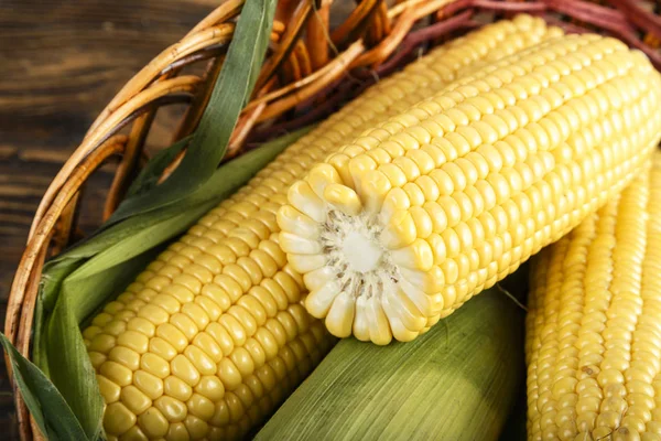 Corn on sackcloth — Stock Photo, Image