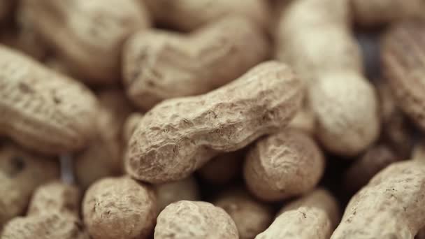 Massa jordnöt jordnötter — Stockvideo