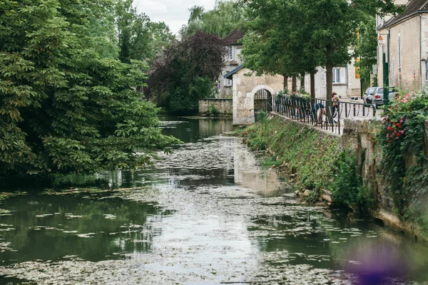 Nature en Chablis — Photo