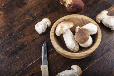 bir tabak içinde ham boletuses