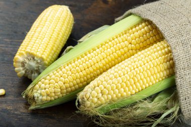 Mısır kafalar masada.