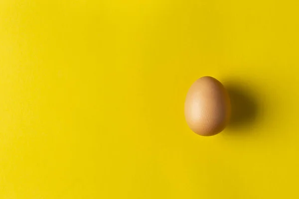Un huevo de gallina —  Fotos de Stock