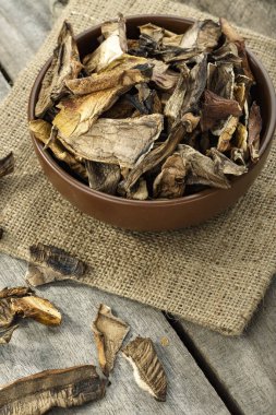 metin için kurutulmuş mantar yer