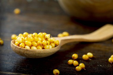 Bir kaşıkta çiğ deniz dikenleri