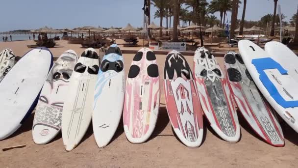 Sörf tahtaları kıyıda duruyor. — Stok video