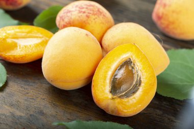 Hasat kayısı masada.