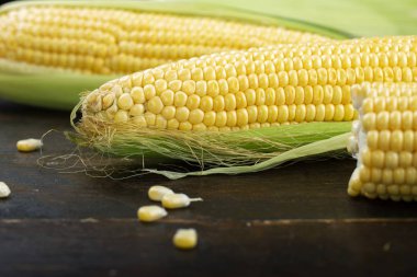 Masadaki mısır hasadı