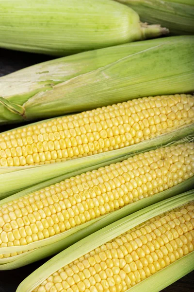Corn cobs close-up — Stock Photo, Image