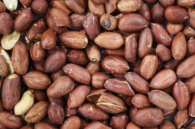 arka plan olarak fıstık