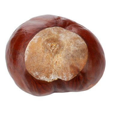 Olgun kestane beyaz arkaplanda izole. 