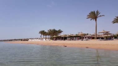 Öğleden sonra deniz kıyısında. Güverte sandalyeleri ve sörf tahtaları, deniz kenarında palmiye ağaçlarının yanında. Mükemmel deniz geçmişi