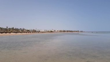 Öğleden sonra deniz kıyısında. Güverte sandalyeleri ve sörf tahtaları, deniz kenarındaki palmiye ağaçları..