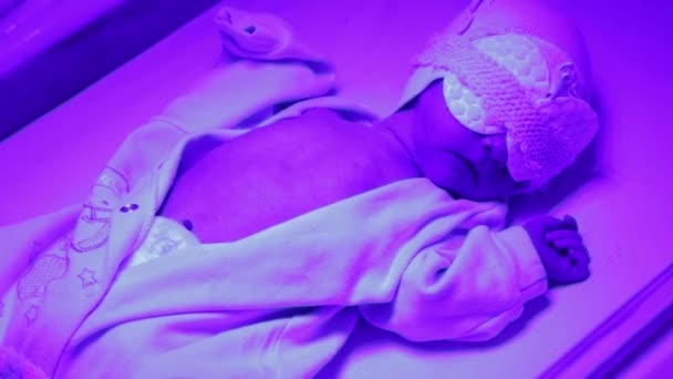 Pasgeboren onder ultraviolette lamp. — Stockvideo