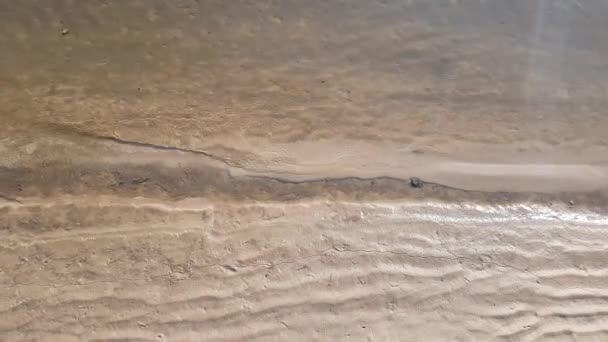 Vagues d'orme d'une rivière transparente près du rivage sablonneux . — Video
