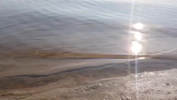 Almwellen eines transparenten Flusses in der Nähe des sandigen Ufers. — Stockvideo