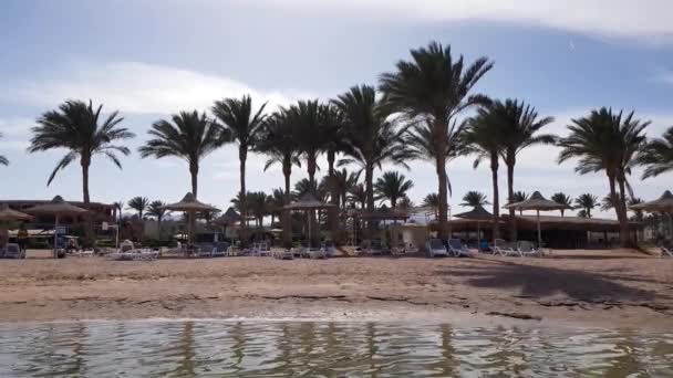 Mısır, Sharm El Sheikh - 05: 2019. Mısır 'da Şemsiyeli ve Sunbed' li plaj. Kızıl Deniz kıyısındaki tatil beldesi. — Stok video