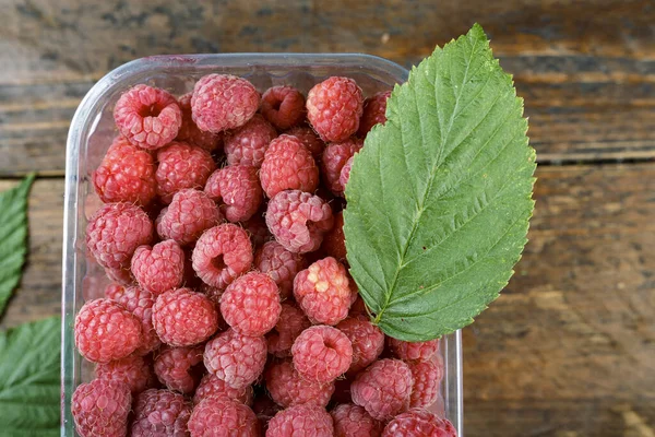 Fresh Raspberries Table Plastic Box Berries Harvest Wooden Backgroun — Stock Photo, Image