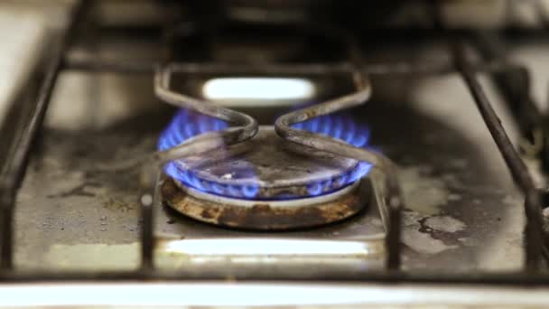 De gasbrander brandt met een blauwe vlam. — Stockvideo