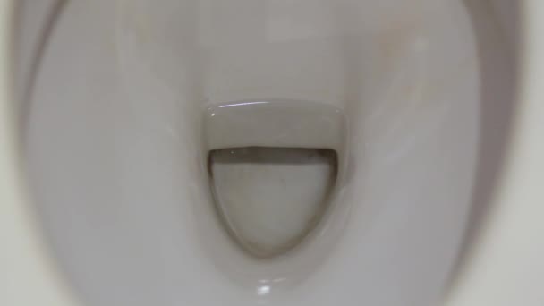 Flushing water in toilet bowl. — Stock Video