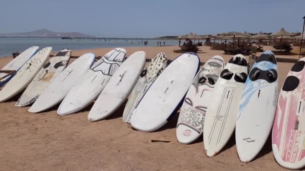 Tavole da surf multicolore si trovano in fila sulla riva. vacanza attiva al mare — Video Stock