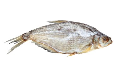 Beyaz arka planda izole edilmiş kuru balık. Dosya kırpma yolu içeriyor.