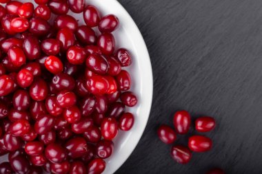 fresh dogwood in a white plate on a black background. place for tex