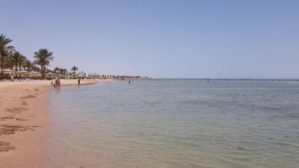 Costa con palmeras y playa de arena — Vídeos de Stock