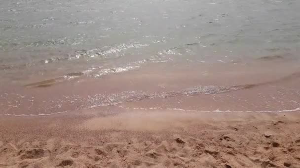 Ondas de mar macio na praia arenosa — Vídeo de Stock