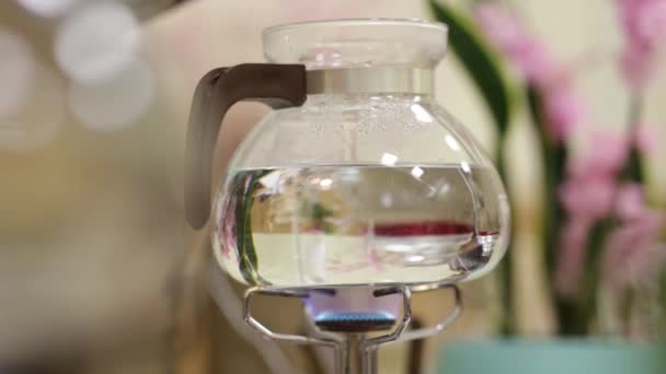 El hervidor de agua de vidrio se calienta en la placa caliente — Vídeos de Stock