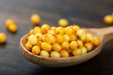 Ahşap bir arka planda tahta kaşıkta çiğ deniz dikenleri. Kapat - u