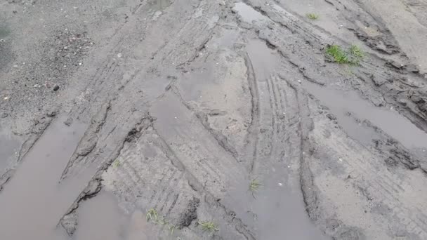 Следы шин в грязи — стоковое видео