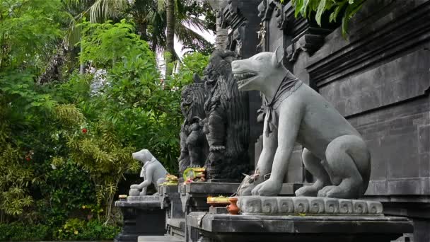 Hundstatyer Vid Ingången Till Ett Hinduistiskt Tempel Bali Indonesien — Stockvideo