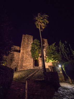 İspanya 'nın Malaga kentindeki Alcazaba Arap kalesinin bahçeleri.