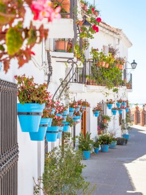 İspanya 'nın güneyindeki Endülüs' te geleneksel bir beyaz köyün bitki ve saksılarıyla dolu güzel bir cadde.. 