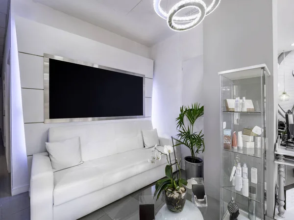 Kapalı mekan modeli. Bitki, beyaz kanepe ve afişleri olan bir güzellik salonunun ya da kuaförün temiz ve parlak bekleme odası.