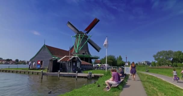 네덜란드의 자작스 풍차와 문하는 사람들이 있었습니다 카메라의 움직임 — 비디오