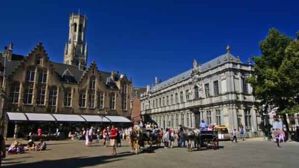 Brujas Bélgica Alrededor Febrero 2016 Carruajes Caballos Plaza Burg Con — Vídeo de stock