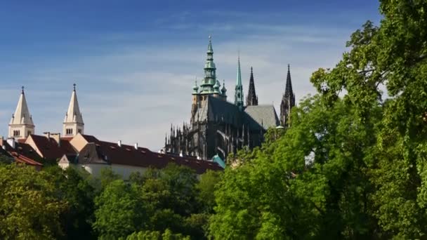 Utsikt över Prags slott och Sankt Vitus-katedralen från den kungliga trädgården i Prag, Tjeckien. — Stockvideo
