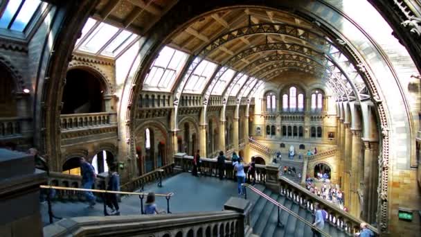 Londra Regno Unito Aprile 2015 Visitatori Del Museo Storia Naturale — Video Stock