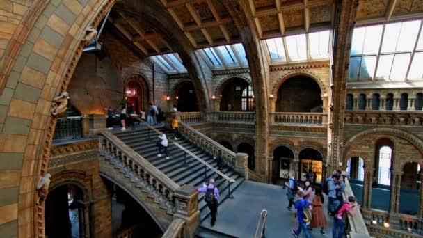 Londra Regno Unito Aprile 2015 Visitatori Del Museo Storia Naturale — Video Stock