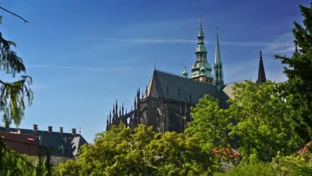 View of the Prague Castle and Saint Vitus Cathedral from the Royal Gardens in Prague, Czech Republic. — Stock Video