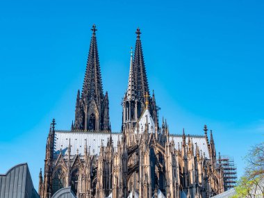 Güneşli bir günde Almanya 'nın Köln kentindeki Gotik Aziz Peter Katedrali. Kulelerin, kemerlerin ve pencerelerin detaylarıyla güzel bir şehir manzarası