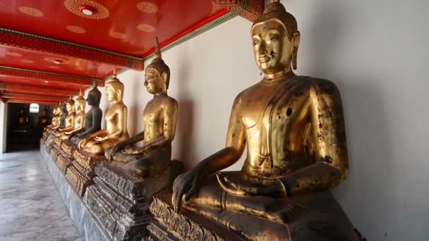 Bhudda Standbeelden Tempel — Stockvideo