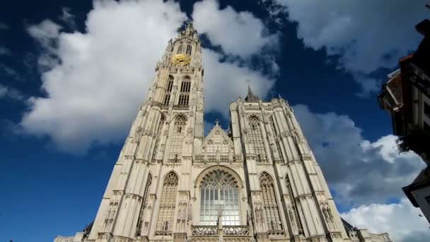 Catedral Nossa Senhora Antuérpia Dia Ensolarado — Vídeo de Stock