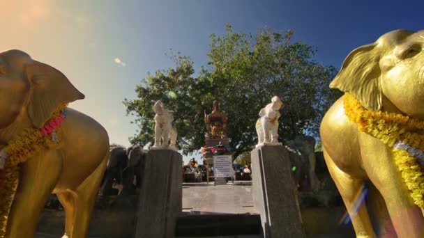 在普吉的神龛里有大象的雕像 — 图库视频影像