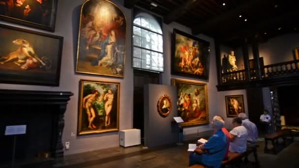 Αμβέρσα Βέλγιο Περίπου Τον Αύγουστο Του 2016 Εσωτερικό Του Μουσείου — Αρχείο Βίντεο